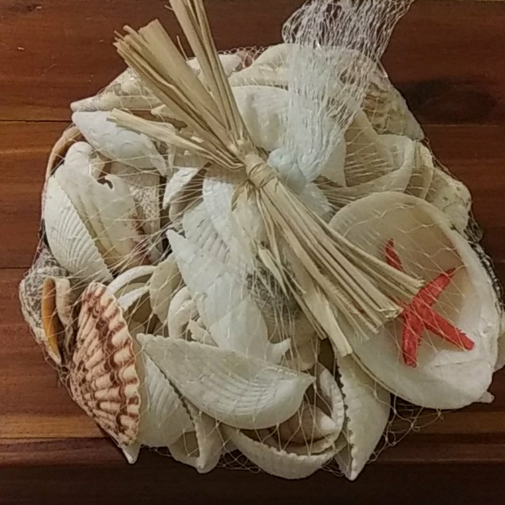 Decorative shells